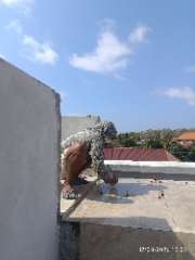 Foto site Andri 17 Agu