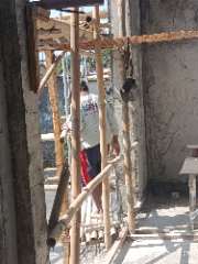 Foto site Dulbari 17 Agu