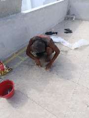 Foto site Bais 18 Agu
