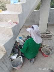 Foto site Mujiono 19 Agu
