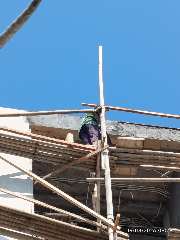 Foto site Parman 19 Agu