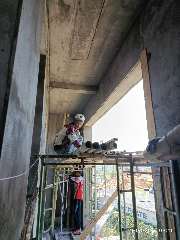 Foto site Roy 21 Agu