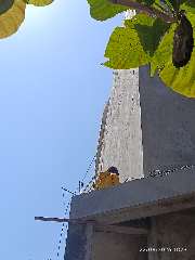 Foto site Huri 22 Agu