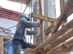Foto site Ridho 23 Agu