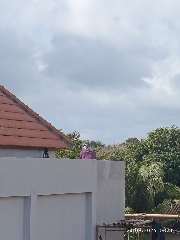 Foto AI review Ridho 2026-08-24