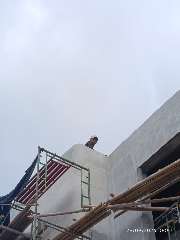 Foto AI review Fery 2026-08-25