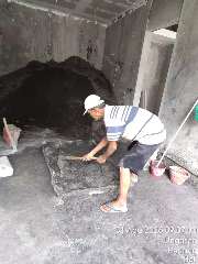 Foto site Pawait  31 Agu