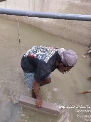 Foto site Affan 4 Sep