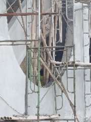 Foto site Ridho 9 Sep