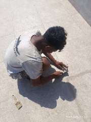 Foto site Bais 12 Sep