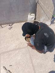 Foto site Rian 12 Sep