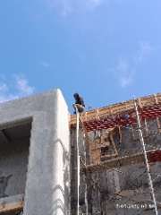 Foto site Akseh 12 Sep