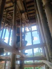 Foto site Affan 15 Sep