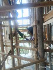 Foto site Awang 15 Sep