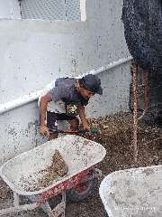 Foto site Fian 16 Sep