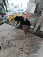 Foto site Imron 16 Sep