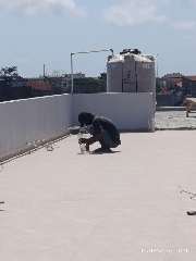Foto site Rian 16 Sep
