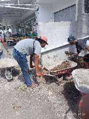 Foto site Wafi 16 Sep