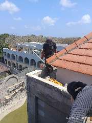 Foto site Affan 19 Sep