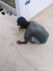 Foto site Rian 21 Sep