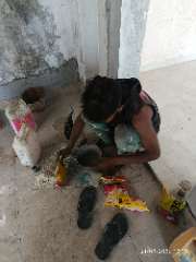 Foto site Bais 21 Sep