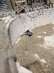 Foto site Subawi 24 Sep