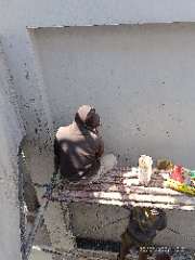 Foto site Wahid 25 Sep