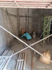 Foto site Joko 25 Sep