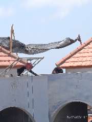 Foto site Dhoni 26 Sep