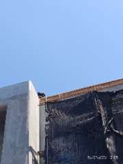 Foto site Ridho 26 Sep