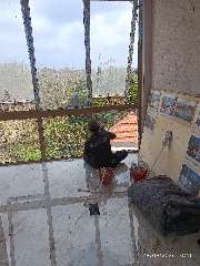 Foto site suarji 28 Sep