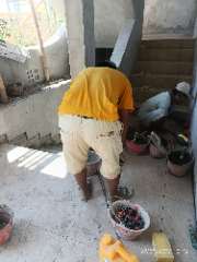 Foto site Adip 27 Sep