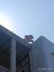 Foto site Ridho 28 Sep
